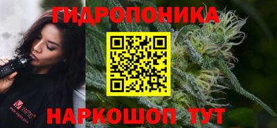 не бодяженный Новозыбков